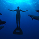 Illustration for article titled Taking emThe Cove/em, the Incredible Account of Dolphin Slaughter, to Japanese Theaters